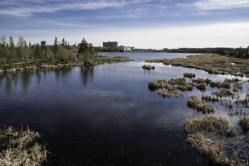plant, public domain, tree, grass, tranquil scene, reflection, 5K, across, canada, day, sky, beauty in nature, land, landscapes, water, Yellowknife, outdoors