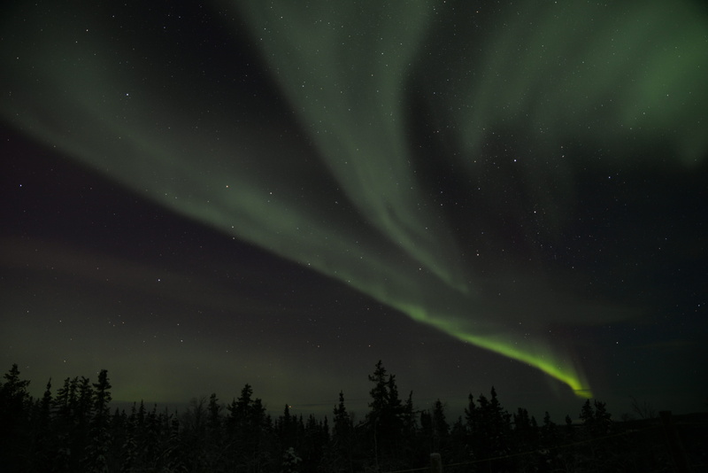 beauty in nature, majestic, yellowknife, nature, tranquility, night, canada, natural phenomenon, astronomy, space and astronomy, scenics - nature, no people