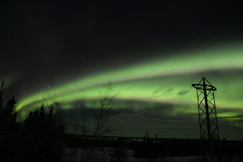 environment, star - space, tranquility, space, beauty in nature, tranquil scene, scenics - nature, sky, canada, plant, tree, nature, star, night, yellowknife