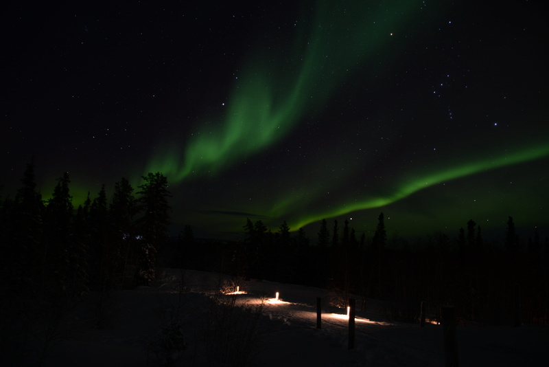 outdoors, nature, environment, yellowknife, scenics - nature, astronomy, night, idyllic, tranquility, green color, space, natural phenomenon, 5K, tree