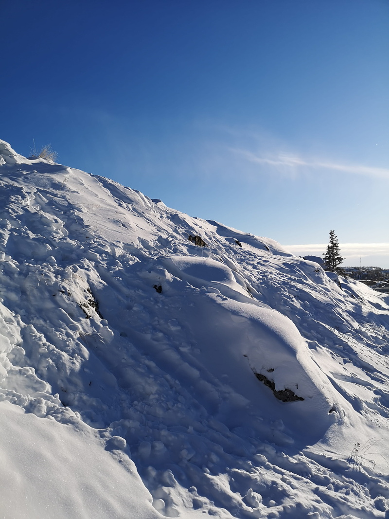 tree, cold temperature, glacier, no people, covering, winter, winter landscape, canada, nature, mountain range, plant, ice, non-urban scene, blue, snowcapped mountain