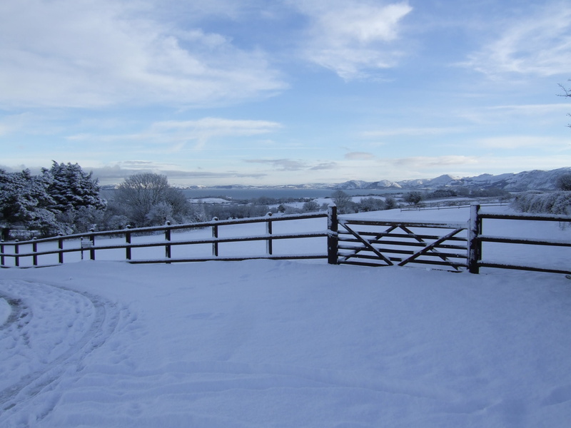 cloud - sky, no People, scenic, fence, farm, sky, Winter, countryside, wood - Material, rural Scene, Field, snow, white, outdoors, rural, white color, Fence