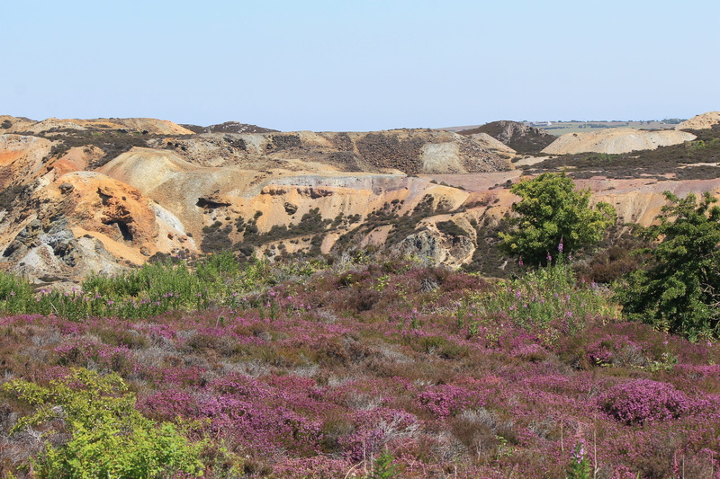 semi-arid, red, tranquil scene, historic, rock - object, travel destinations, welsh, history, tower, building, day, copper, scenics - nature, heather, land