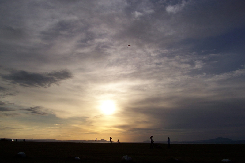animal, shellisland, silhouette, cloud - sky, vertebrate, national, north wales, shore, sky, land, scenics - nature, tranquility, beauty in nature, scenery