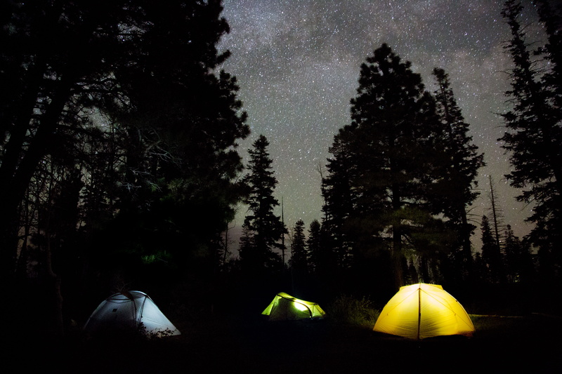 starry, surrounded, star - space, woodland, sky, nighttime, land, forest, nature, field, yellow, outdoors, tree, 5K, tent, tranquil scene, assorted, night