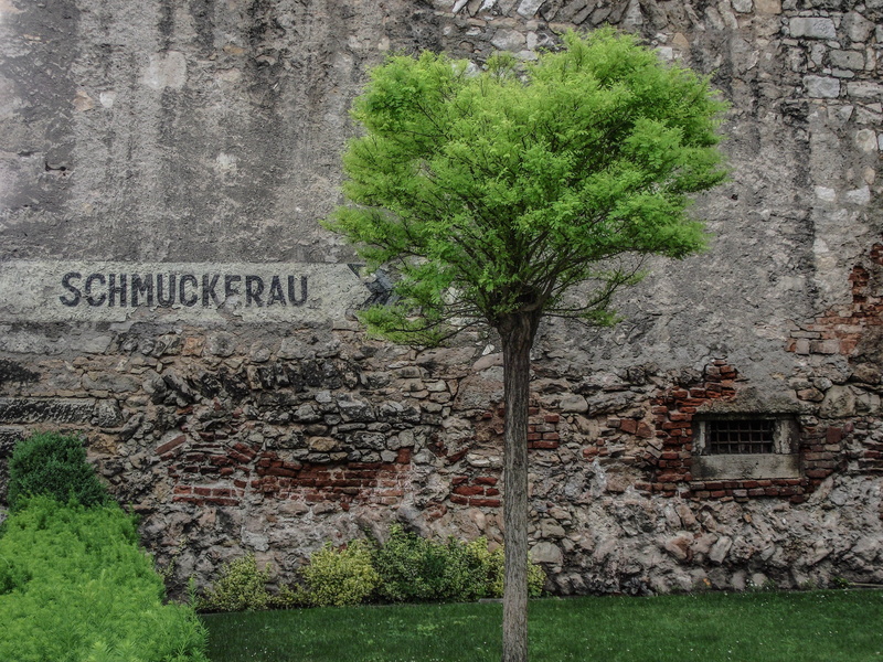stone, building exterior, growth, brick, brown, wall, building, aesthetic, grass, western script, facade, wood, wiener neustadt, text, meadow, leaf, log