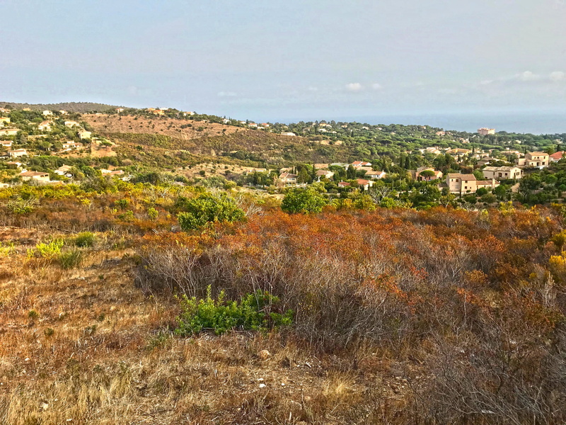 french riviera, south of france, st tropez, church, maritime alps, built structure, plant, colorful, land, outdoors, sun, day, france, beauty in nature