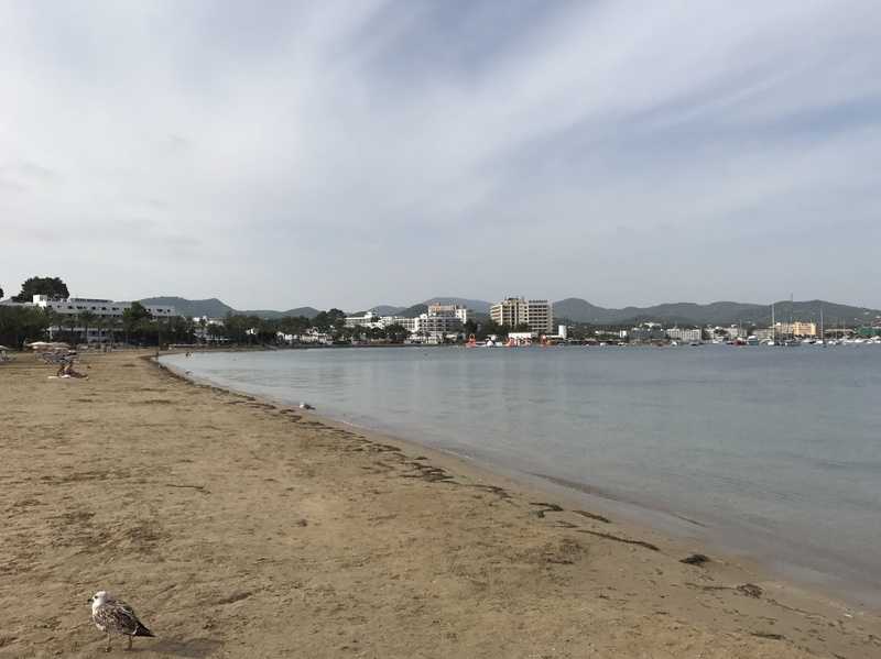 church, 4K, residential district, holiday, day, saint tropez, architecture, city, fishing boat, sunshine, sun, port, water, sea, sailing boat, booked
