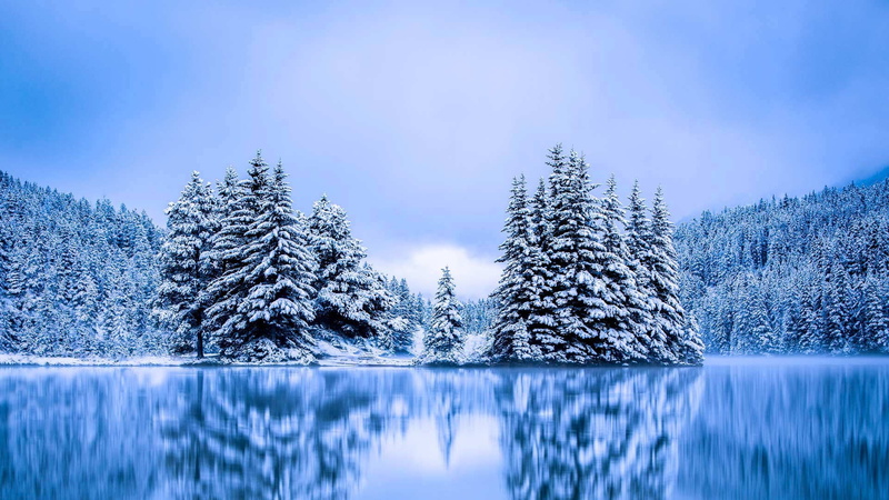 1080P, Canada, Two Jack Lake, Albert, the lake That Jack, trees, Banff National Park, winter
