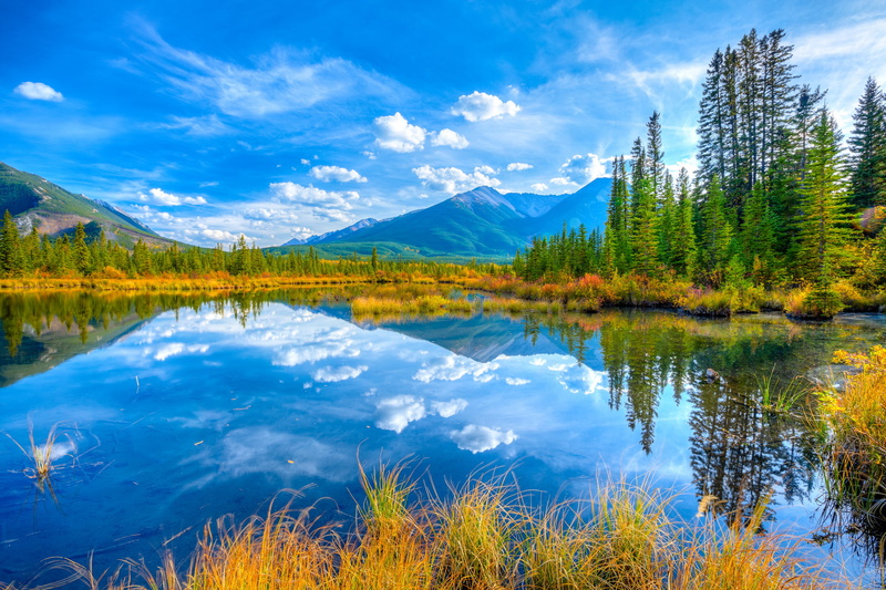 beauty in nature, autumn, wilderness, the sky, coniferous tree, blue, Albert, environment, pine tree, body, tree, 1080P, outdoors, trees, sky, tranquility