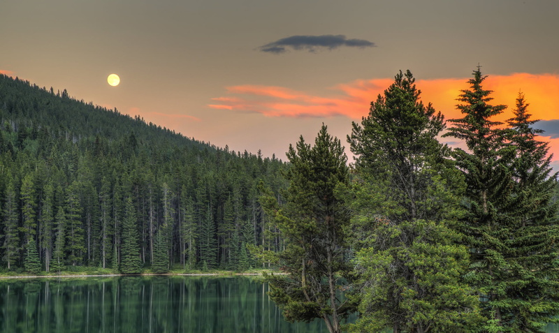 Banff, sunset, Albert, sky, cloud - sky, green, idyllic, Canada, tree, green color, no people, water, beauty in nature, Banff National Park, trees, pine