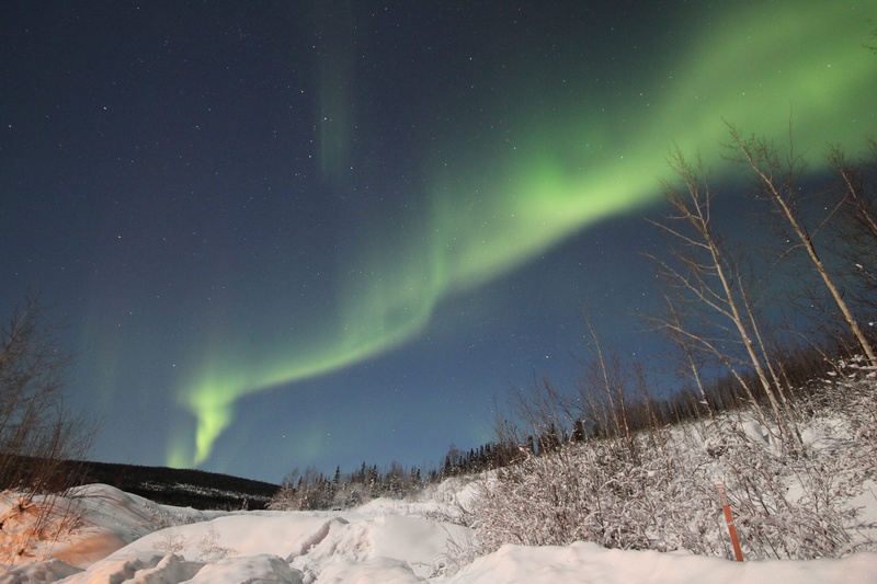 light, north, plant, tree, no people, color, tranquility, borealis, sky, environment, star - space, Borealis, cold temperature, stars, aurora borealis