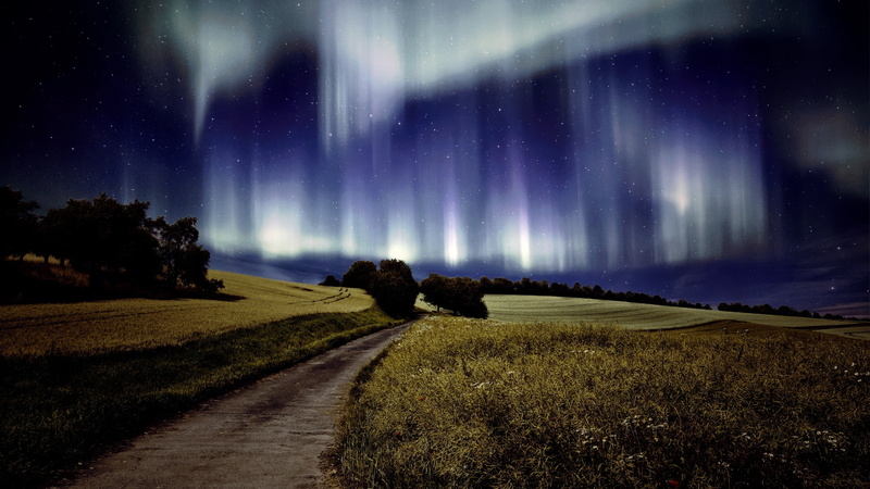 night sky, star - space, plant, tranquility, aurora, evening, backlit, polar lights, 4K, tranquil scene, nature, scenics - nature, night, road, environment