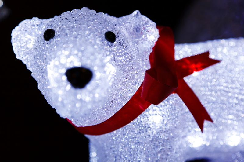 indoors, decoration, focus on foreground, nature, Arctic, Bear, ice, Christmas, cold temperature, christmas decoration, christmas ornament, celebration