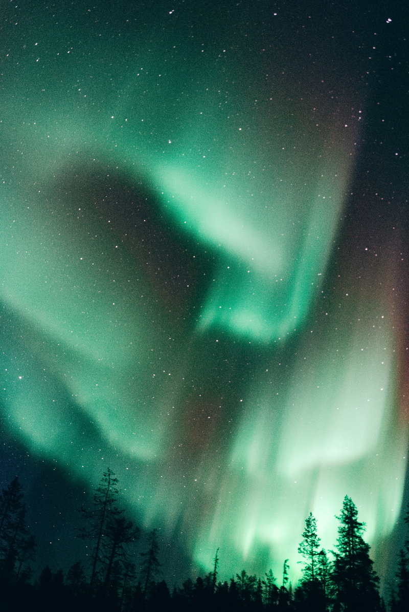 travel, aurora polaris, lapland, space, finland, sky, light, forest, borealis, plant, tranquility, scenics - nature, dramatic sky, star, star - space, tree