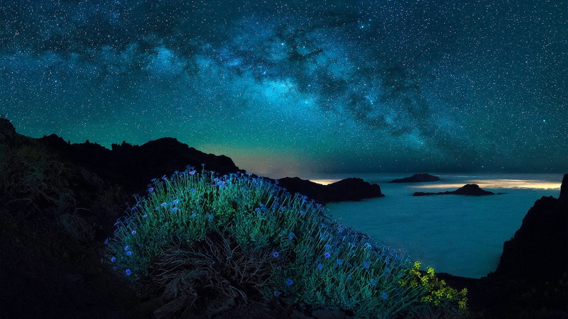 polar lights, night, starry, starry night, 1080P, stars, sea, night sky, milky way