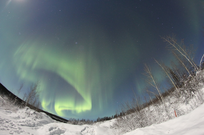 cold temperature, aurora, environment, astronomy, landscape, land, plant, season, snowcapped mountain, aurora borealis, outdoors, alaska, night, north