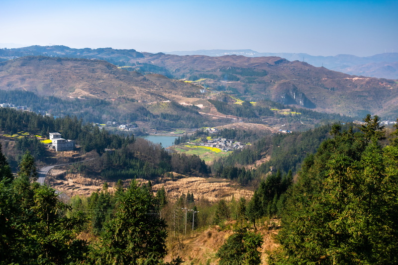 high angle view, environment, china, idyllic, outdoors, haze, beauty in nature, pine tree, woods, tranquility, day, remote, pine woodland, lancet fir, land