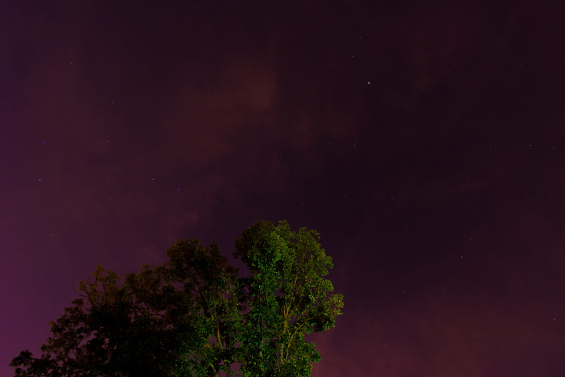 tranquil scene, eye, leafe, green, space, night sky, no people, united state, cloud, scenics - nature, tree, beauty in nature, trees, tree top, star, knoxville