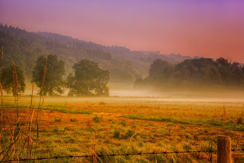5K, rural scene, rest, landscape, fog, scenics - nature, purple, dawn, white, tree, tranquility, sun, fence, sunrise, skies, plant, haze, pine woodland