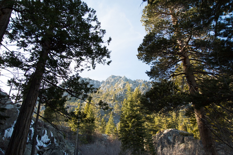 mountain, woods, sky, trees, no people, rocks, travel, tranquil scene, tranquility, tree, beauty in nature, day, land, murky, evergreen, foggy, stones