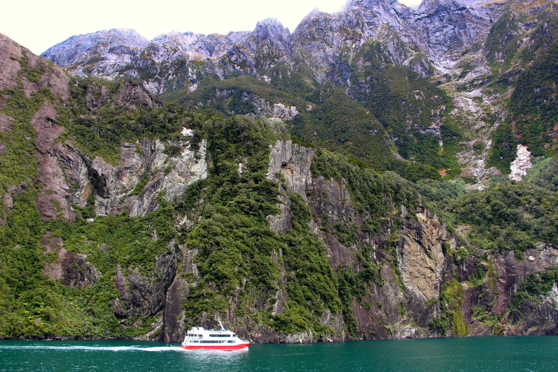 boat, fiord, land, outdoors, nautical vessel, transportation, milford sound, tree, new zealand, rock, rock formation, sea, water, mountain range, mode of transportation