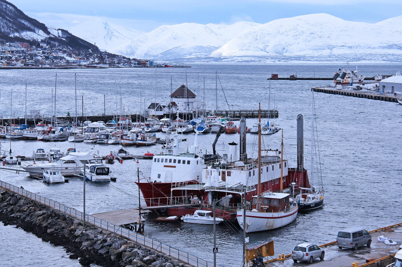 nordic, cold, snow, calm, scenic, day, 2K, nautical vessel, zing, sea, white, tromso, cold temperature, habour, transportation, beautiful, sailboat, the arctic circle