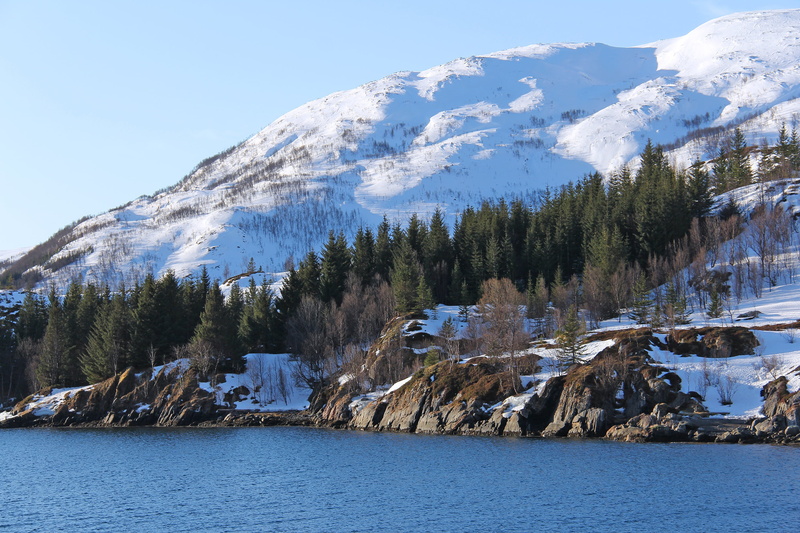 scandinavia, snow, mountain, europe, landscape, water, pine tree, nature, tranquility, fjord, sea, cold temperature, snowcapped mountain, norway, beauty in nature