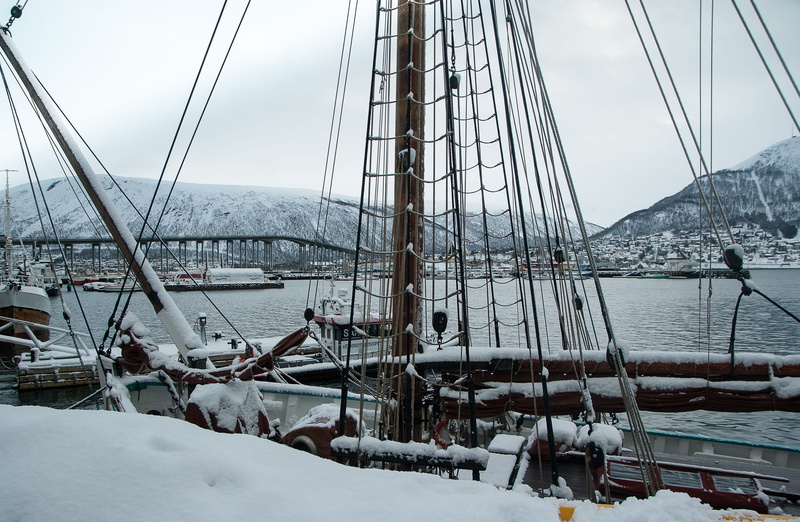 covering, white color, nautical vessel, ice, weather, Sailboat, outdoors, cold temperature, pole, Port, nature, beauty in nature, water, transportation
