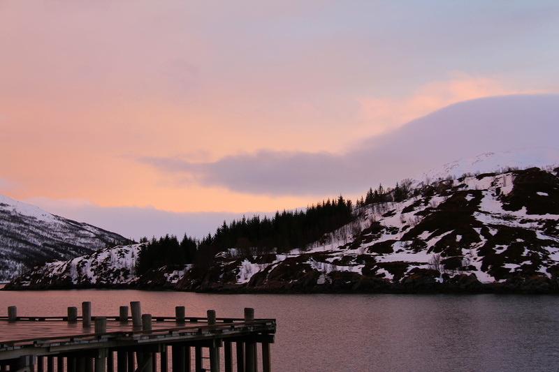 water, scandinavia, Orange, cold temperature, nature, ever-changing, no people, coniferous tree, fjord, sky, snow, travel, tranquility, environment, norway