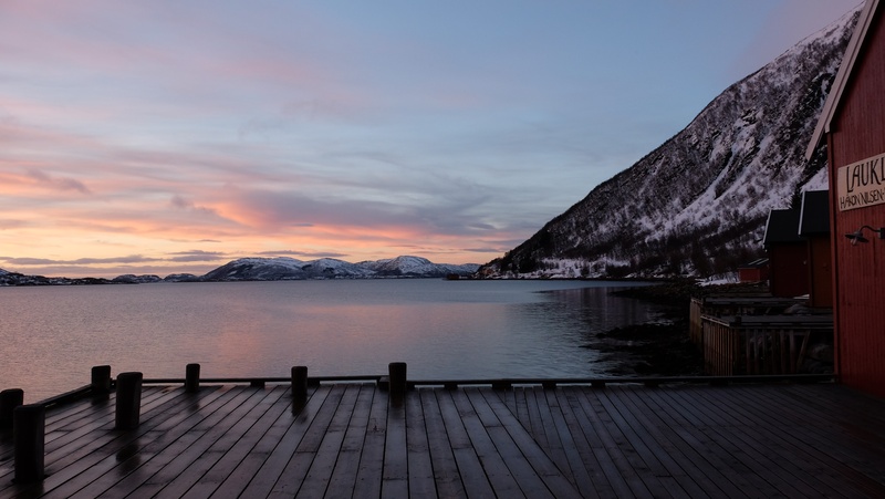 tranquility, pier, tranquil scene, dock, view, outdoors, norway, landscape, sea, 4K, near, lake, beauty in nature, wood - material, lauklines kystferie