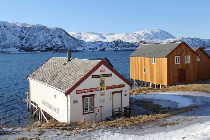 snowcapped mountain, nature, building exterior, mountain, house, nordic house, sea, lauklines kystferie, beautiful, sky, building, scandinavia, kvaloya