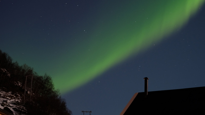 amazing, star, architecture, 2K, low angle view, nature, night, scandinavia, fjord, kvaløysletta, building exterior, sky, lauklines kystferie, green color