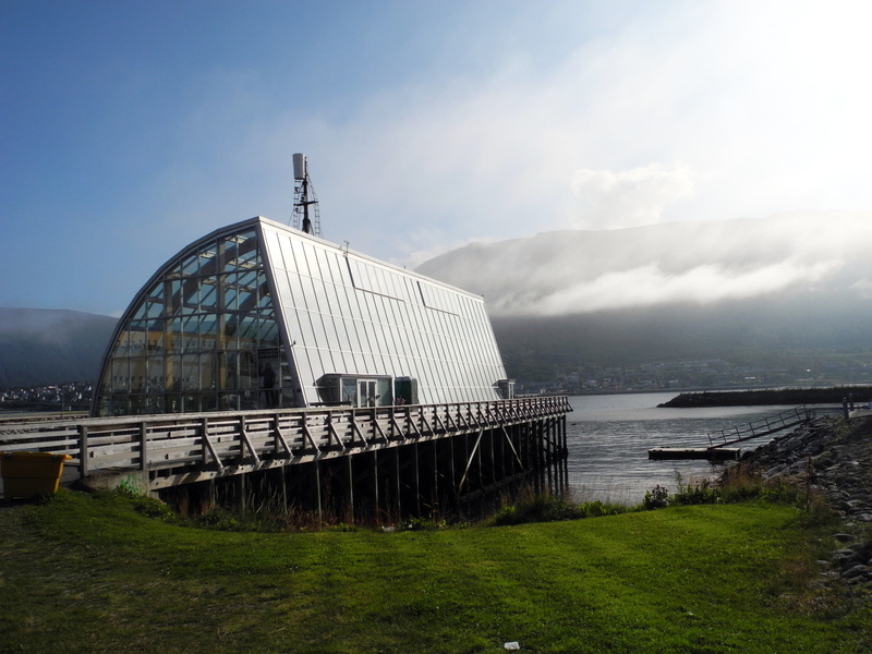 building, tromso, water, outdoors, plant, travel, norway, scenics - nature, nature, built structure, beauty in nature, view, no people, 2K, day, building exterior
