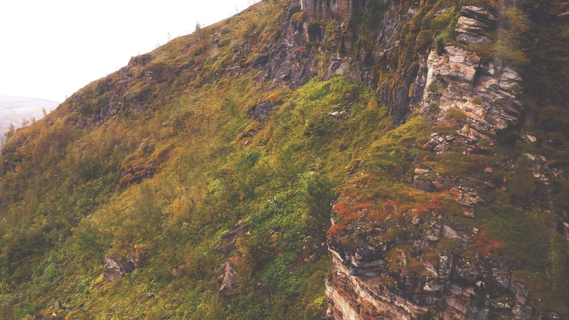 mountain, plant, scandinavia, day, ascent, land, no people, cliff, idyllic, growth, outdoors, tranquility, beauty in nature, tranquil scene, 4K, norway