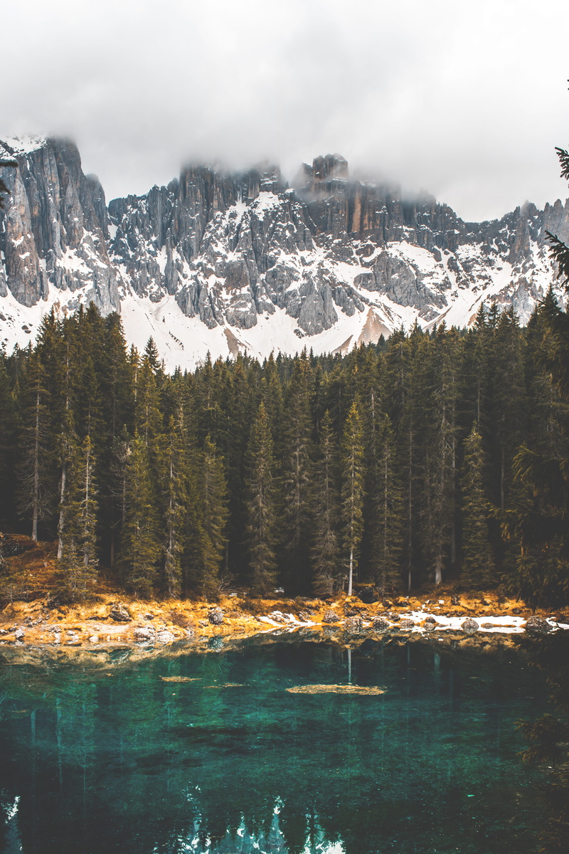 daytime, italy, tranquility, wood, mountain range, snow, covered, formation, snowcapped mountain, mobile, carezza, trees, mountain, day, still