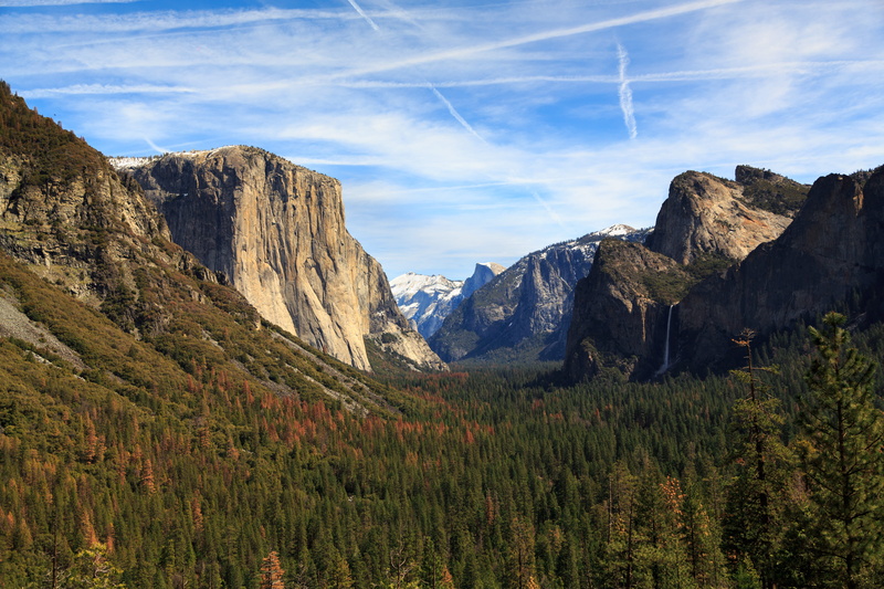 pine tree, landscape, valley, land, peak, environment, canyon, scenics - nature, mountain range, outdoors, green, mountian, daytime, formation, non-urban scene