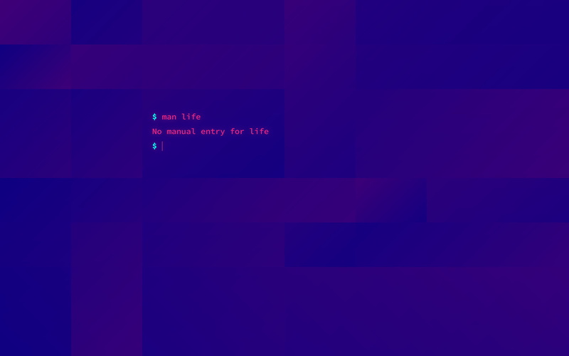 1080P, rectangle, Unix, humor, violet, Shell, computer, minimalism, bash, abstract, terminals