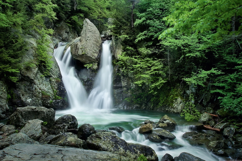 bish bash falls, flowing water, scenics - nature, river, tree, non-urban scene, rock - object, woods, flowing, 4K, beauty in nature, land, rock, growth