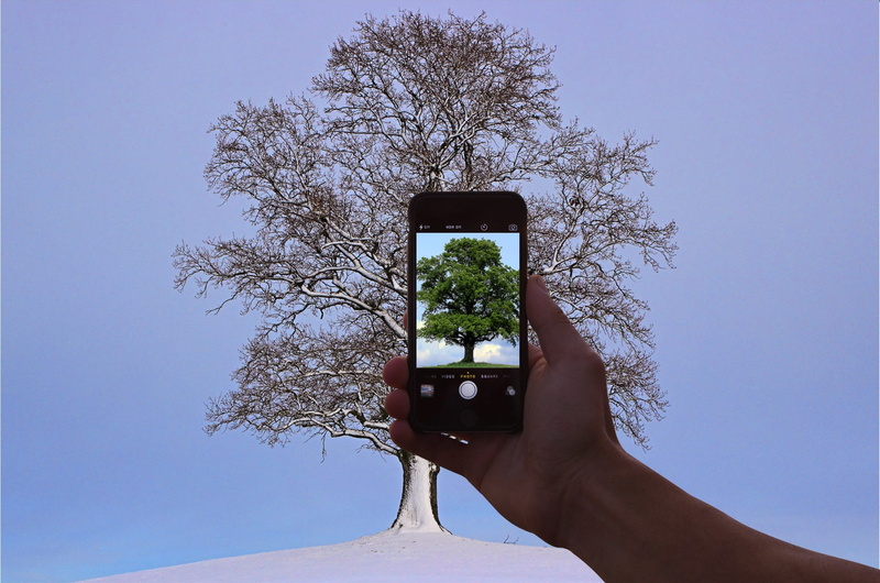 portable information device, tree, technology, Hand, photo manipulation, human body part, photo, mobile, outdoors, touch screen, sky, finger, wireless technology