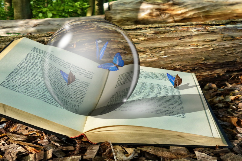 glass, high angle view, 2K, photoshop, prison, book, text, map, glass - material, bug, crystal ball, fairytale, caught, no people, page, communication