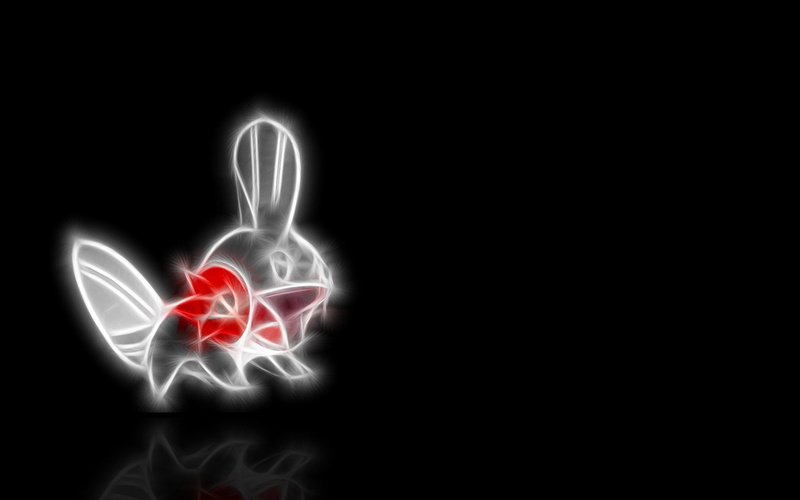 pokemon, mudkip, 1080P