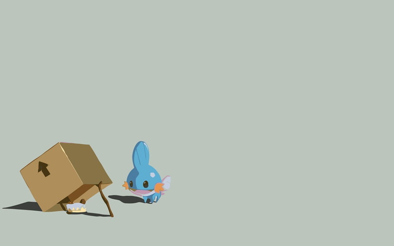 720P, Mudkip