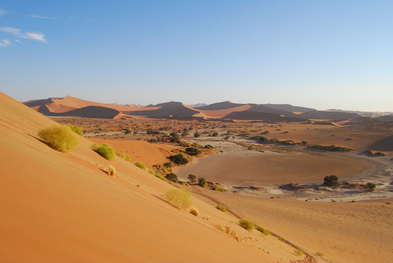sky, beauty in nature, desert, land, sossusvlei, surface, no people, scenics, clear sky, sand, day, sand dune, brown, namibia, dunes, landscape, nature