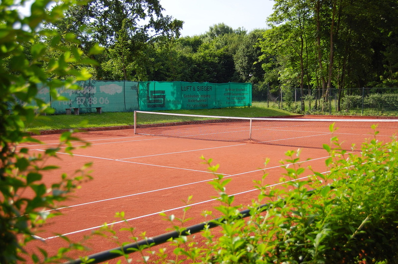 growth, nature, Tennis Court, tree, net - sports equipment, absence, land, trees, surrounded, green color, tennis, no people, day, sport, running track