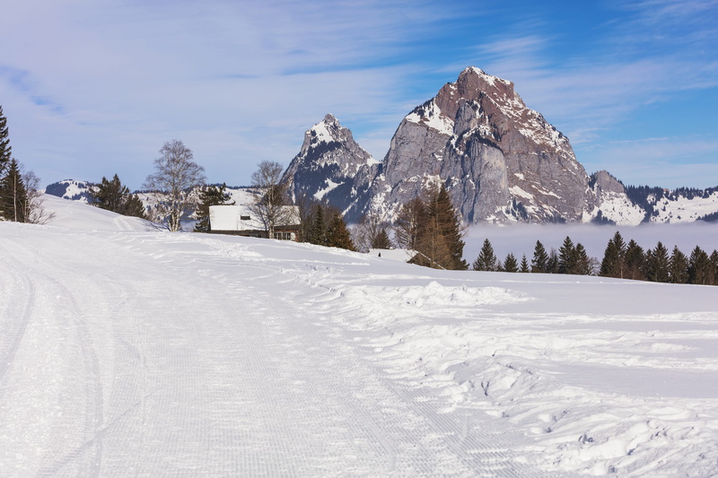 nature, Switzerland, white, non-urban scene, cloud - sky, cold temperature, Mythen, no people, day, travel, tranquil scene, plant, mountain, village, snowcapped mountain
