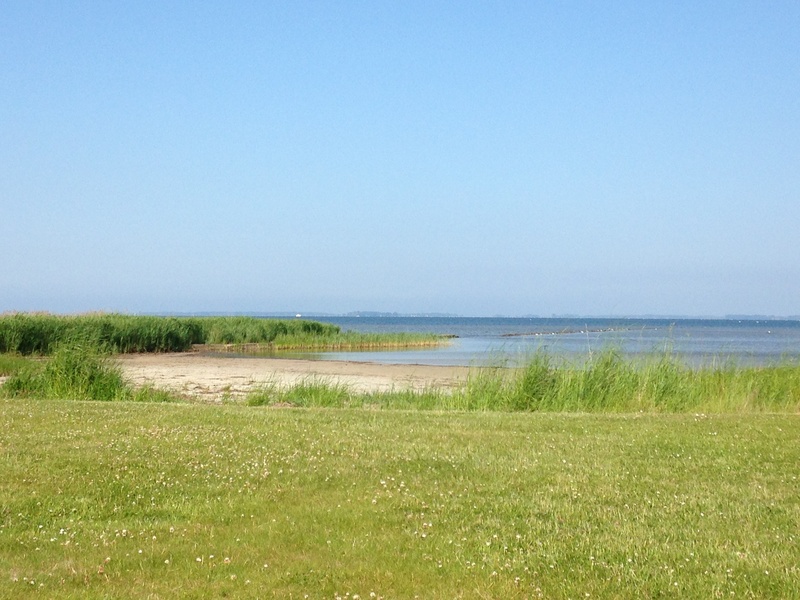 sea, grass, sky, day, scenics - nature, kleiner ostseestrand, tranquil scene, outdoors, field, environment, tranquility, baltic sea, nature, copy space