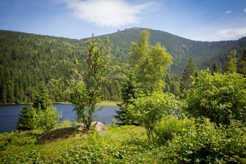 sky, water, day, nature, landscape, environment, bergsee, scenics - nature, land, mountain, no people, 5K, great arber, forest, plant, coniferous tree