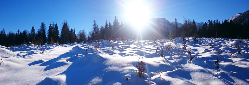 Winter, smartphone, wild, beautiful, freiheit, österreich, blue  sky, wood, austria, green, snow, tree, sony  xperia  z3, snows, oberösterreich, field