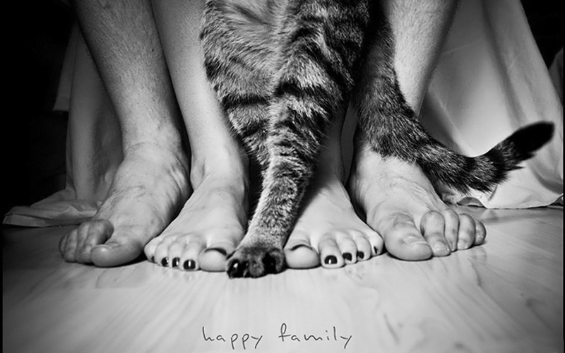 sleeping, one Person, caqt, black And White, body part, close-up, human leg, men, care, human foot, family, paw, real people, barefoot, small, lying Down